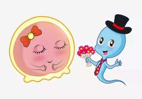 2022做試管嬰兒要多少費用？
