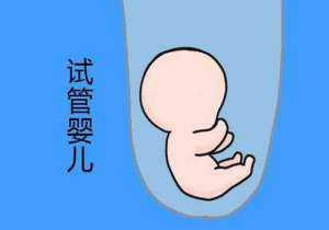 試管嬰兒全部費(fèi)用需要多少錢